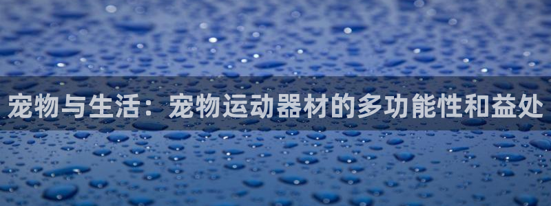 tp钱包安卓版下载最新版：宠物与生活：宠物运动器材的多功能性
