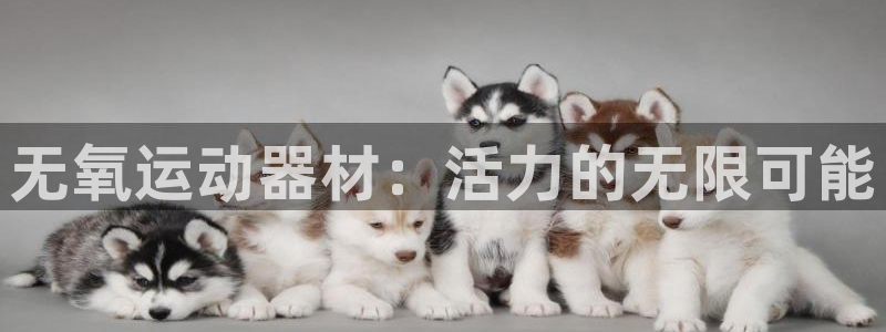 taptp下载安装：无氧运动器材：活力的无限可能