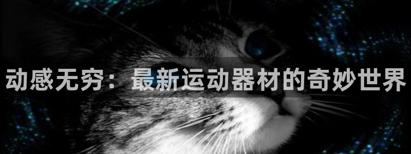tp钱包nft被盗：动感无穷：最新运动器材的奇妙世界