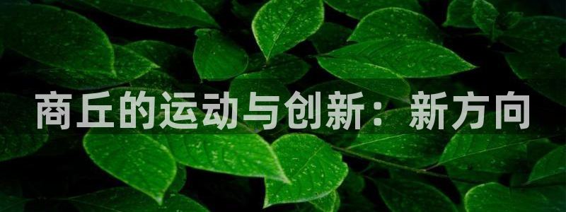 tp钱包API接口：商丘的运动与创新：新方向