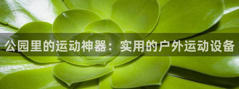 TP钱包安卓v6.0.25：公园里的运动神器：实用的户外运动