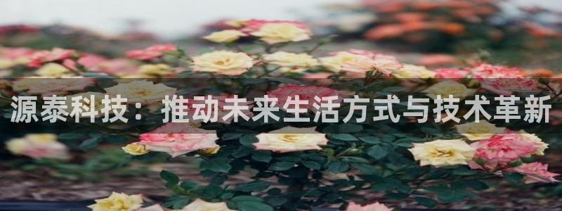 TP钱包安卓版安装：源泰科技：推动未来生活方式与技术革新