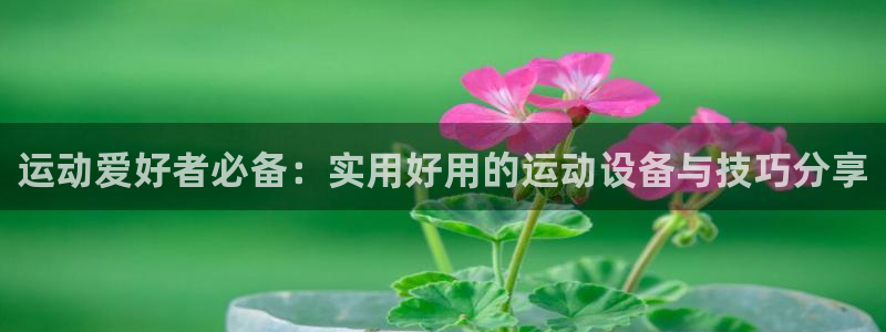 tp钱包bep2：运动爱好者必备：实用好用的运动设备与技巧分