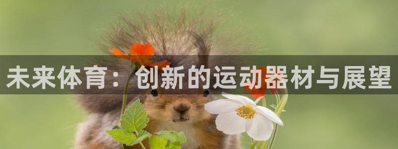 tp钱包heco链虚拟币提不出来怎么办：未来体育：创新的运动