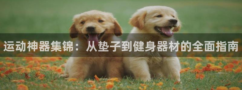taptp下载安装：运动神器集锦：从垫子到健身器材的全面指南