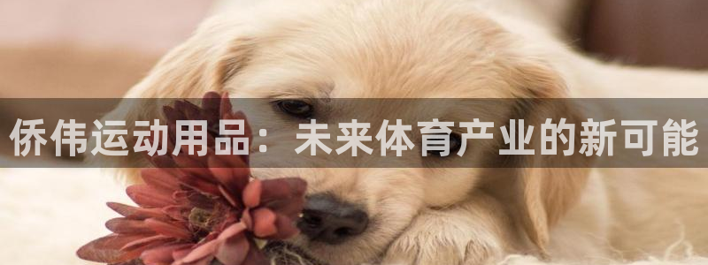 TP钱包BSC授权：侨伟运动用品：未来体育产业的新可能