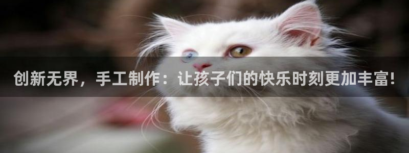tp钱包 官网：创新无界，手工制作：让孩子们的快乐时刻更加丰